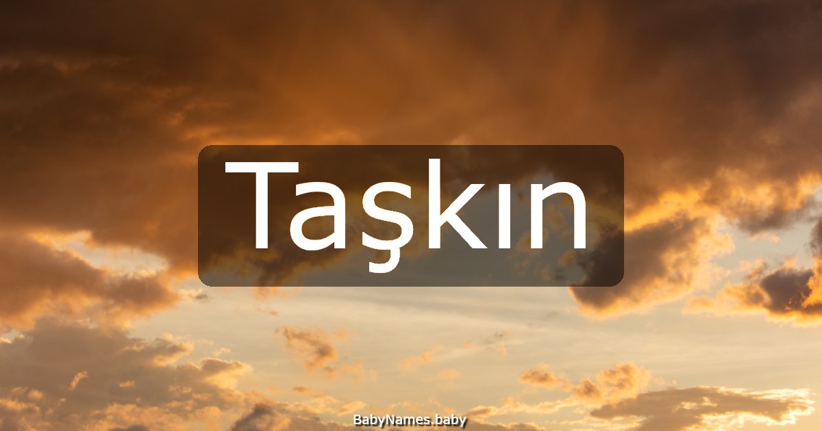 Taşkın