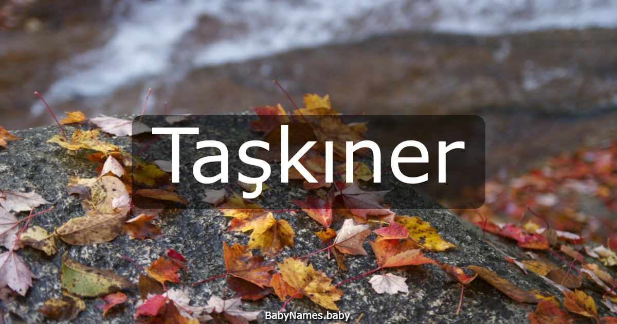 Taşkıner