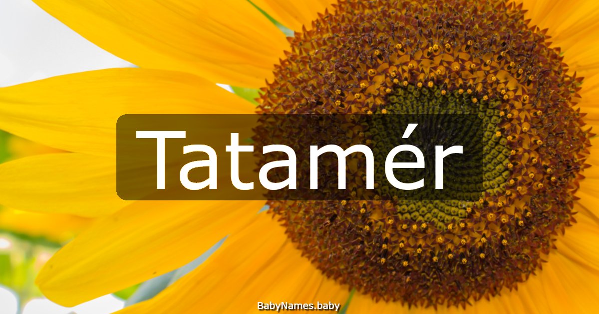 Tatamér