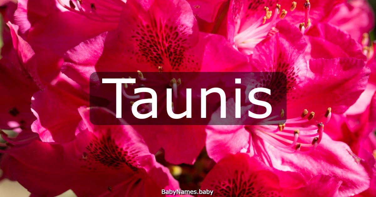 Taunis