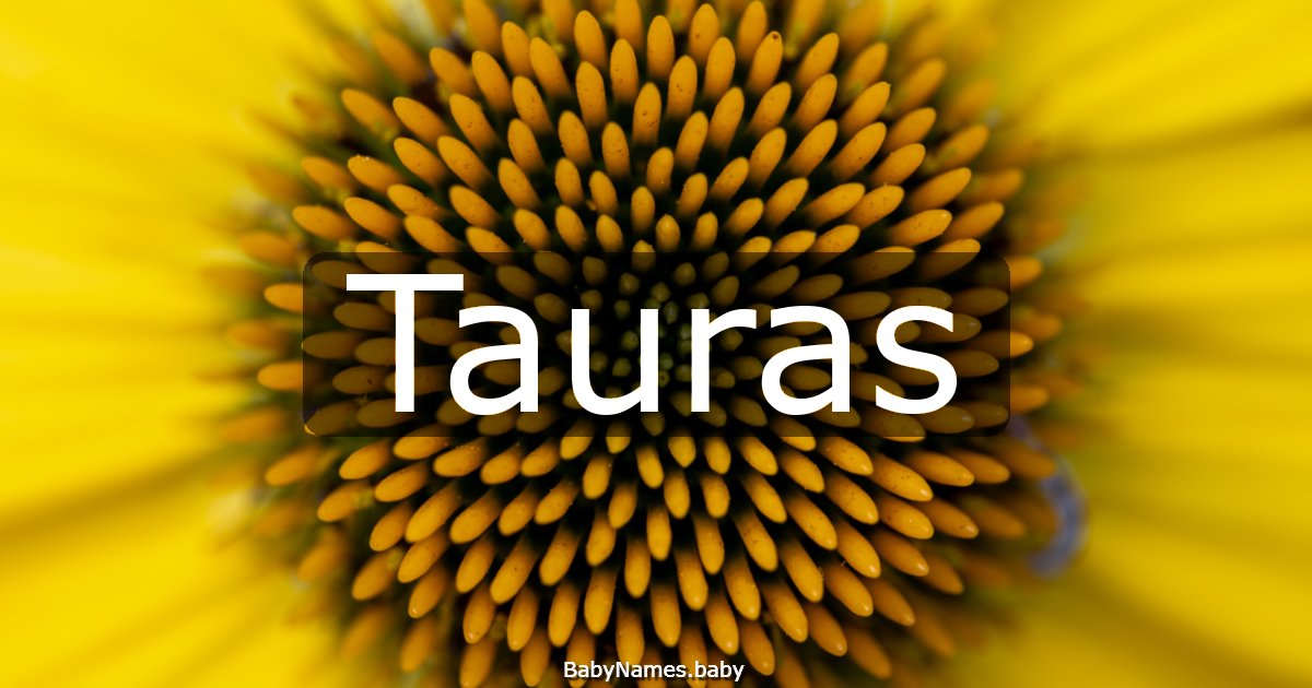 Tauras