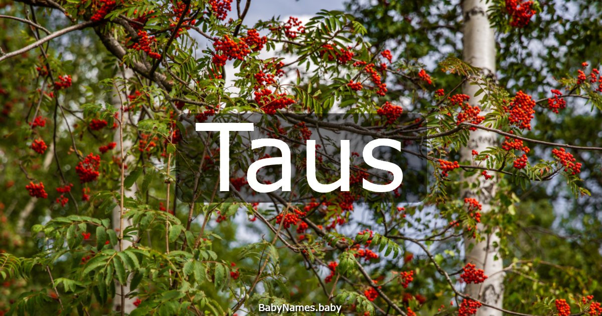 Taus