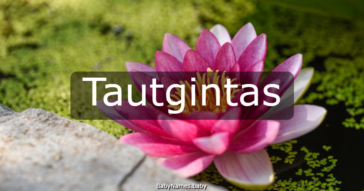 Tautgintas