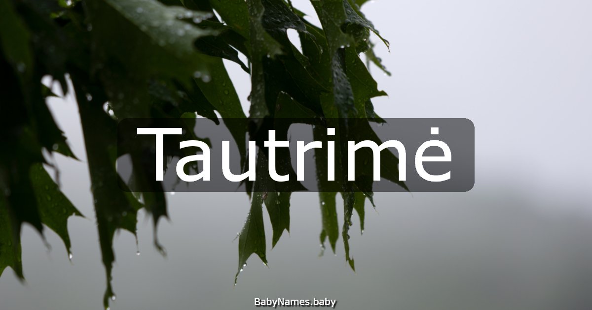 Tautrimė