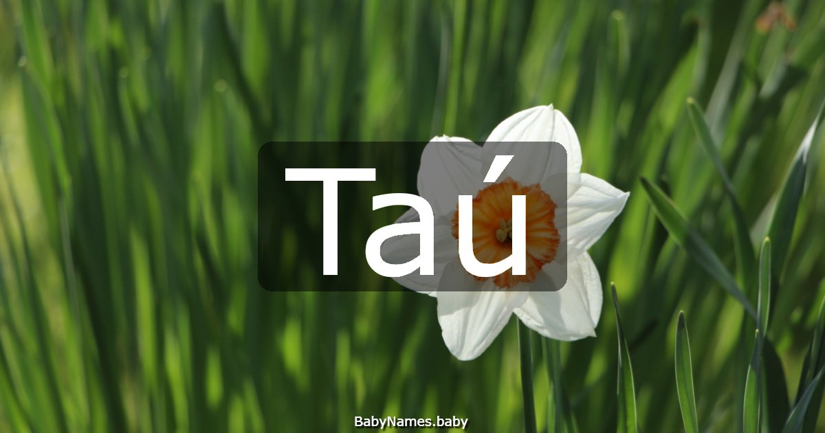 Taú