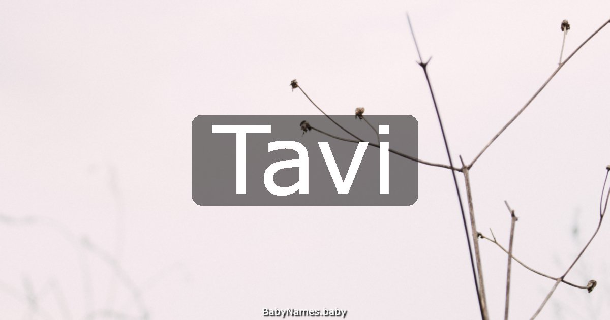 Tavi