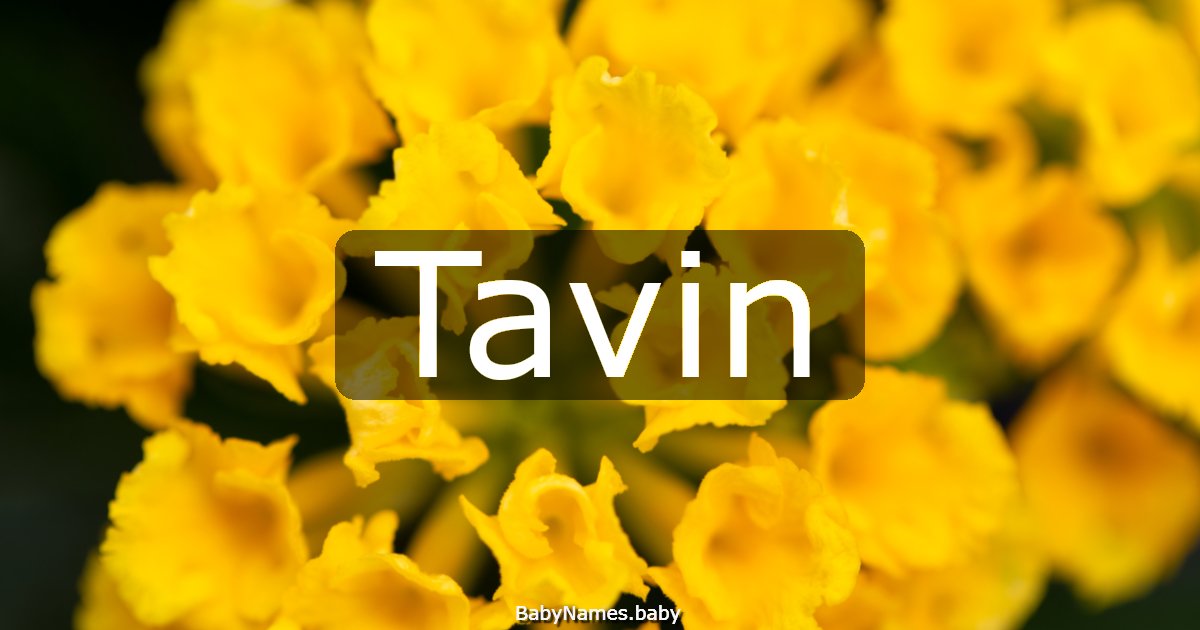 Tavin