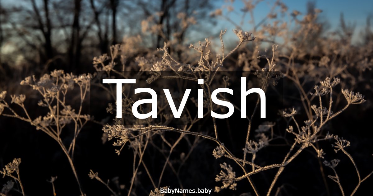 Tavish