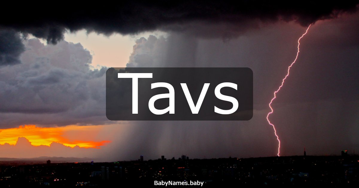 Tavs