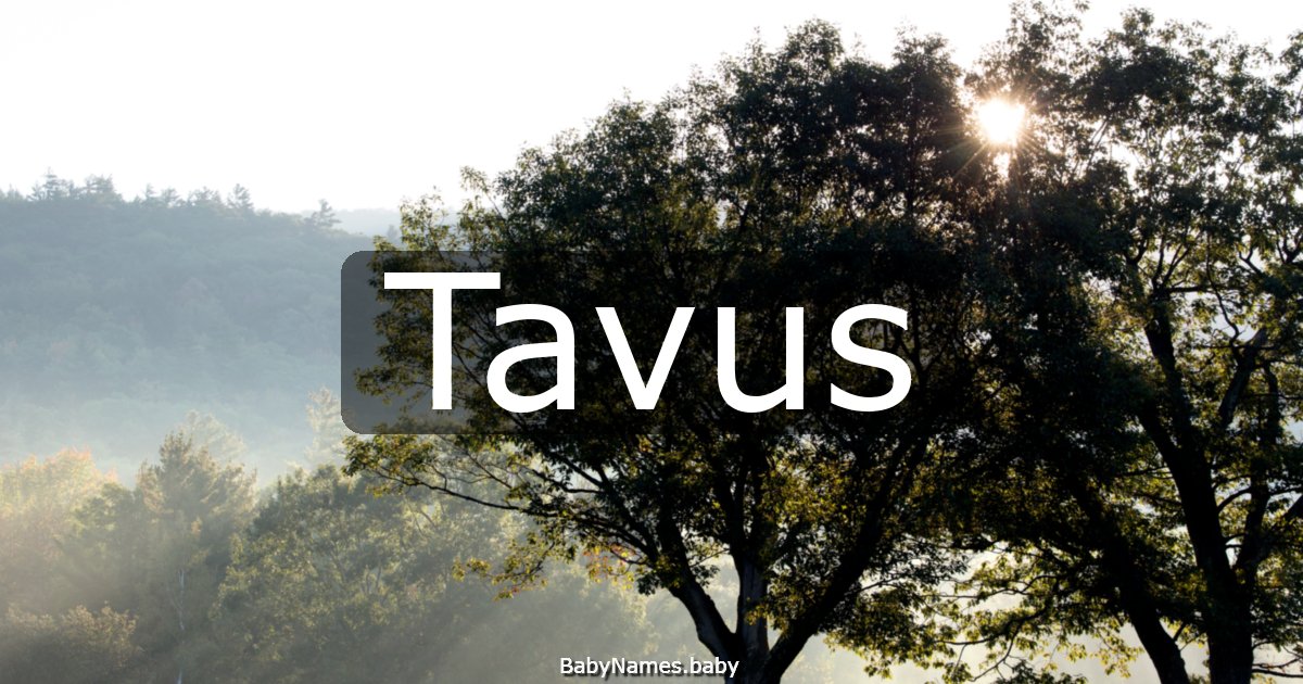 Tavus