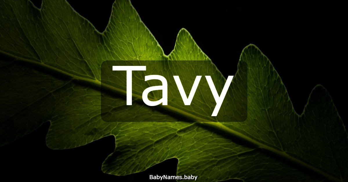Tavy