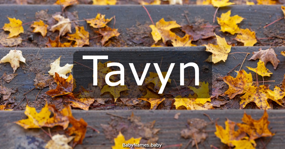 Tavyn