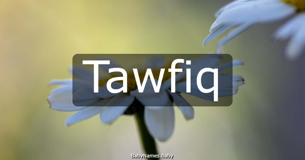 Tawfiq