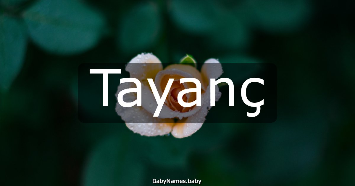 Tayanç