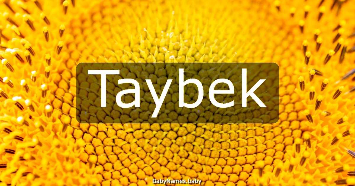 Taybek