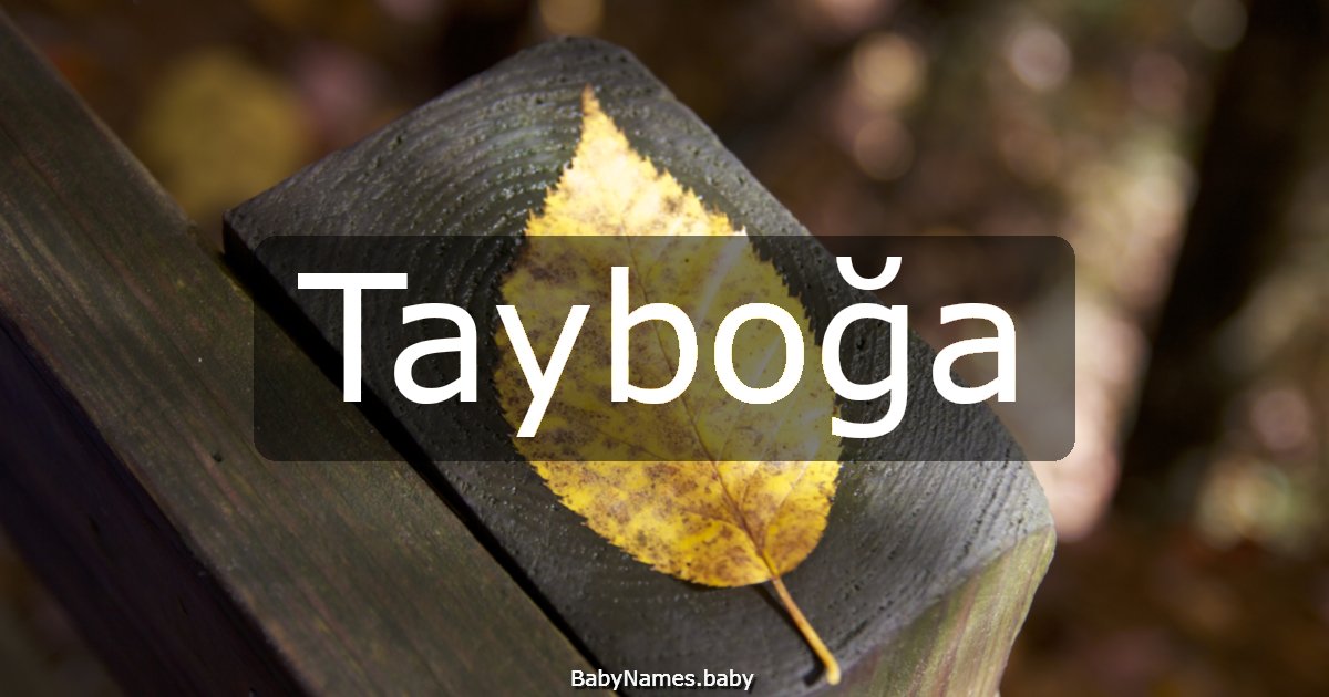 Tayboğa