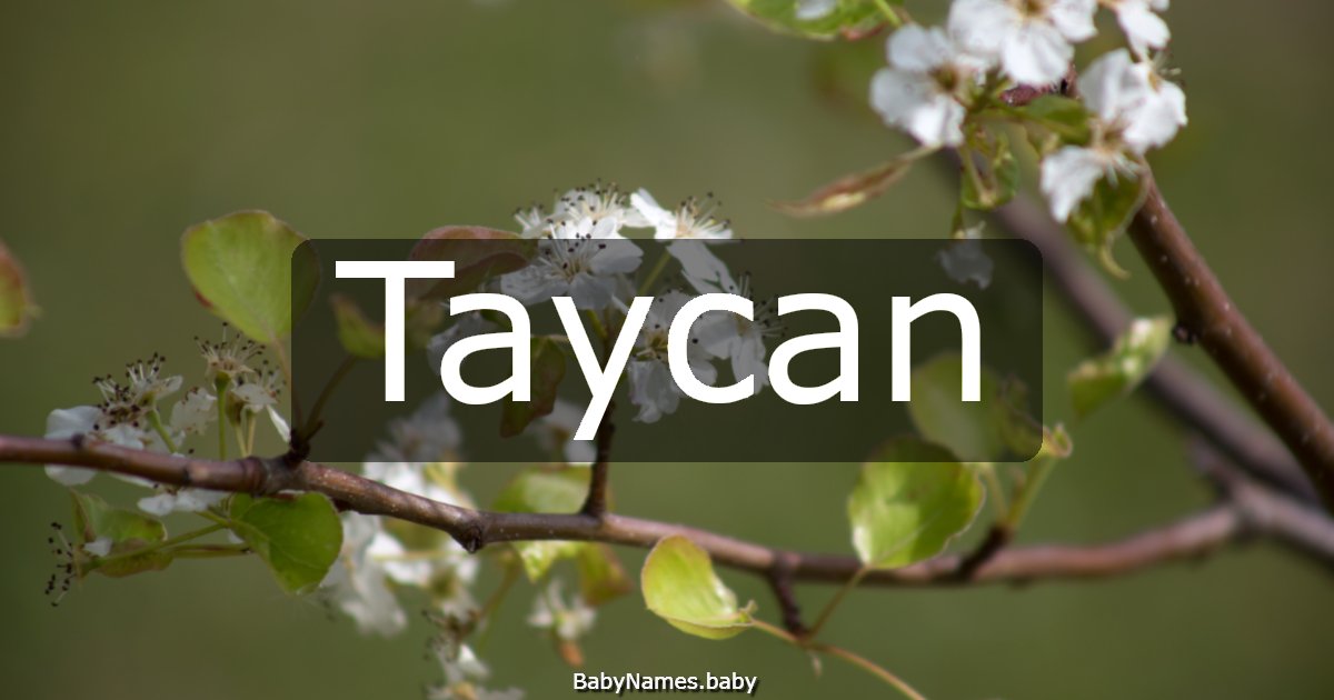 Taycan