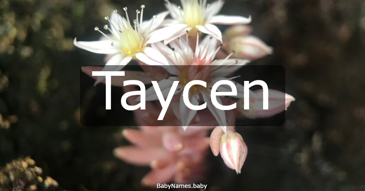 Taycen