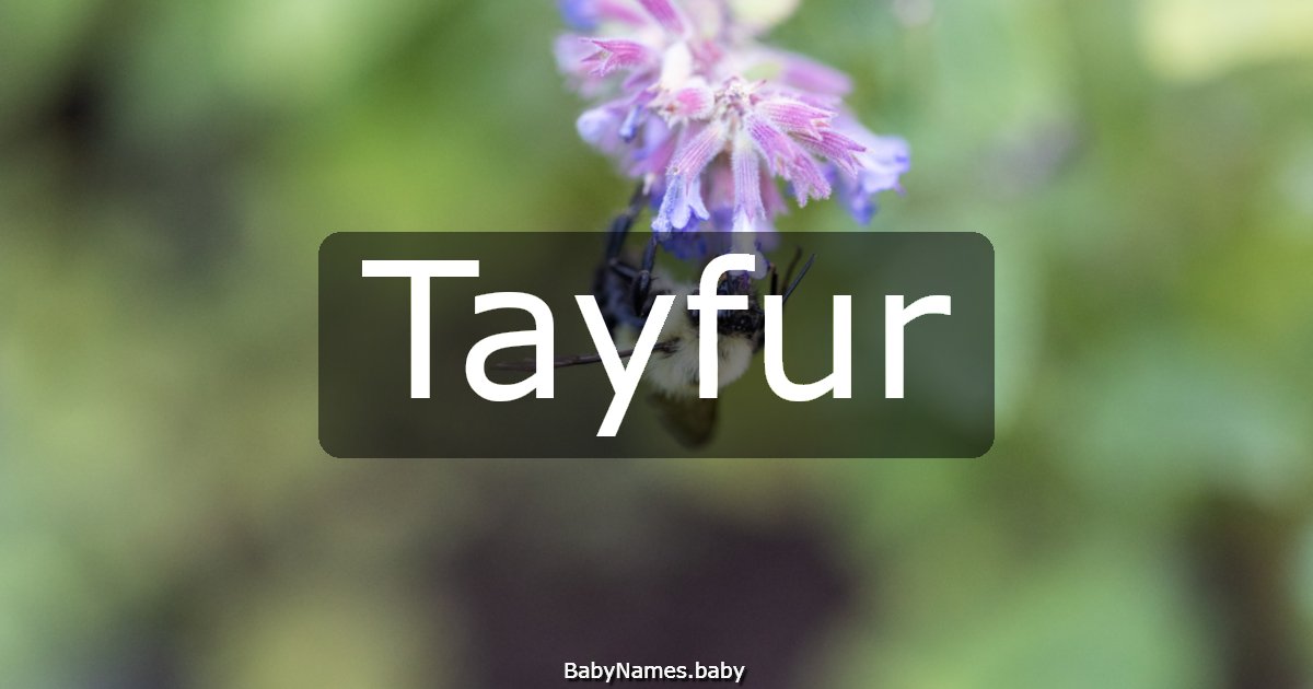 Tayfur