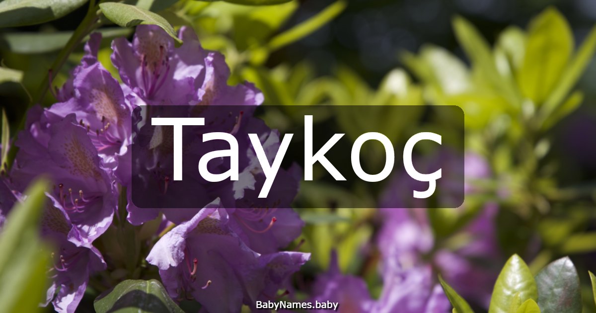 Taykoç