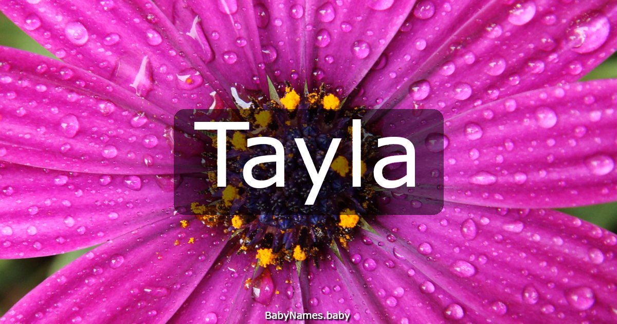 Tayla