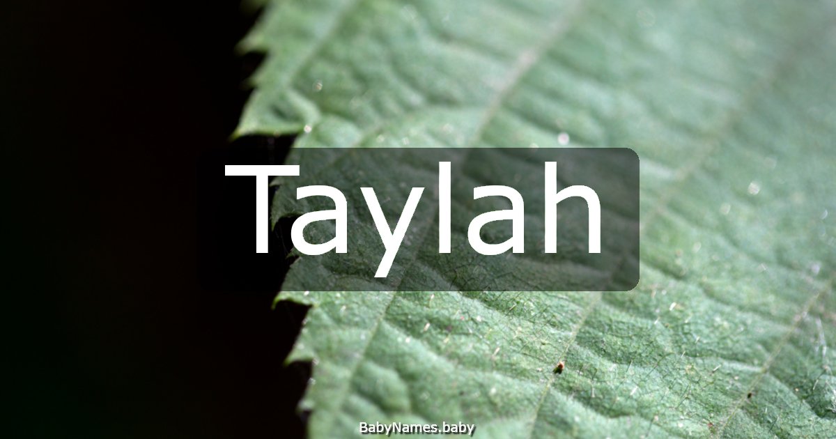 Taylah