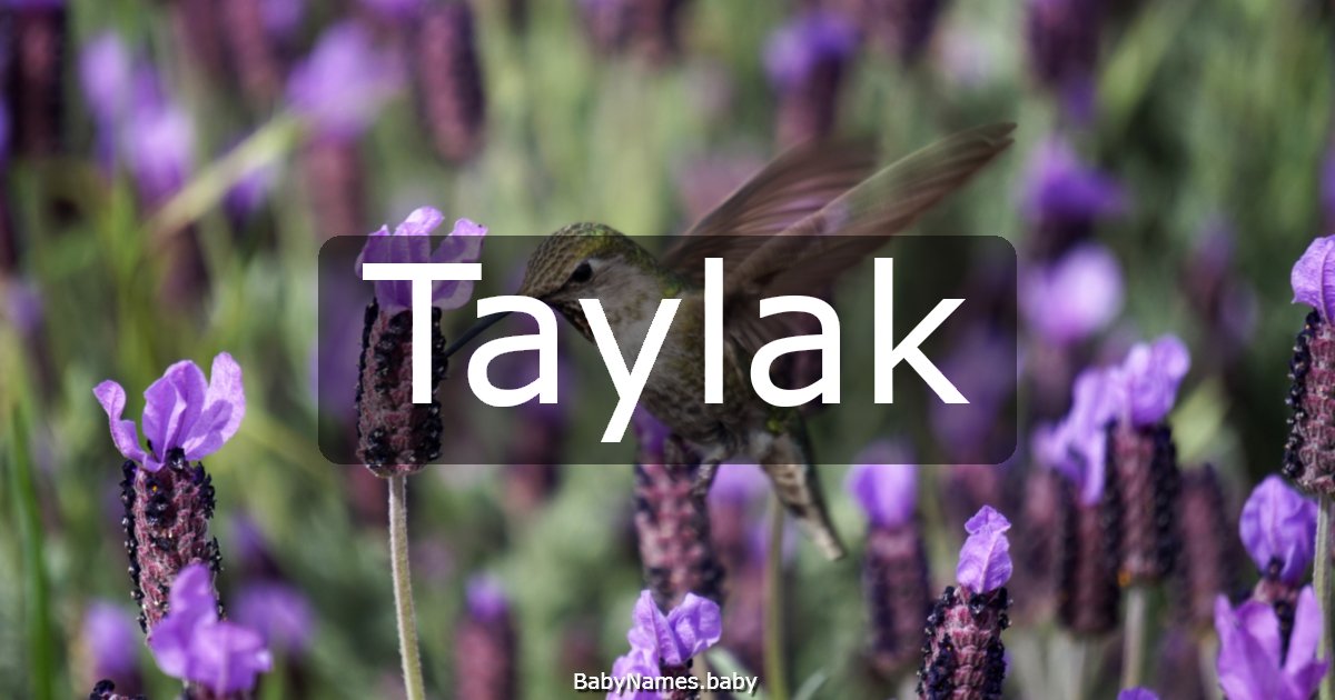 Taylak