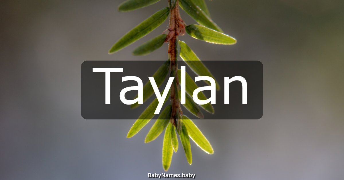Taylan
