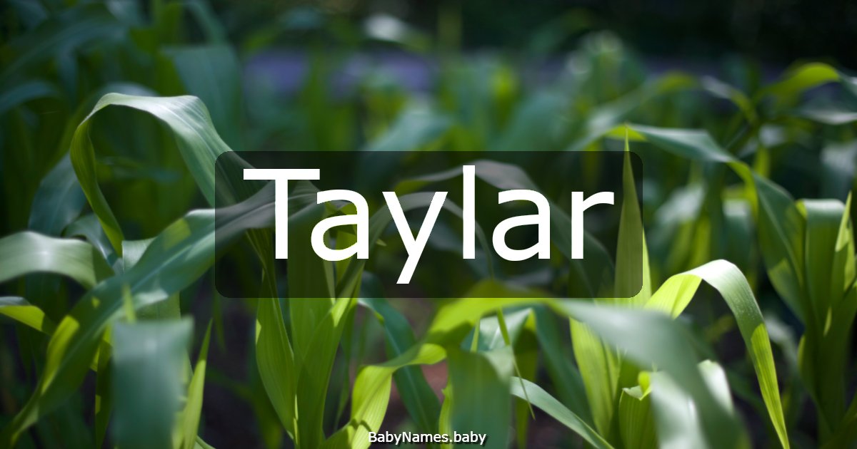Taylar
