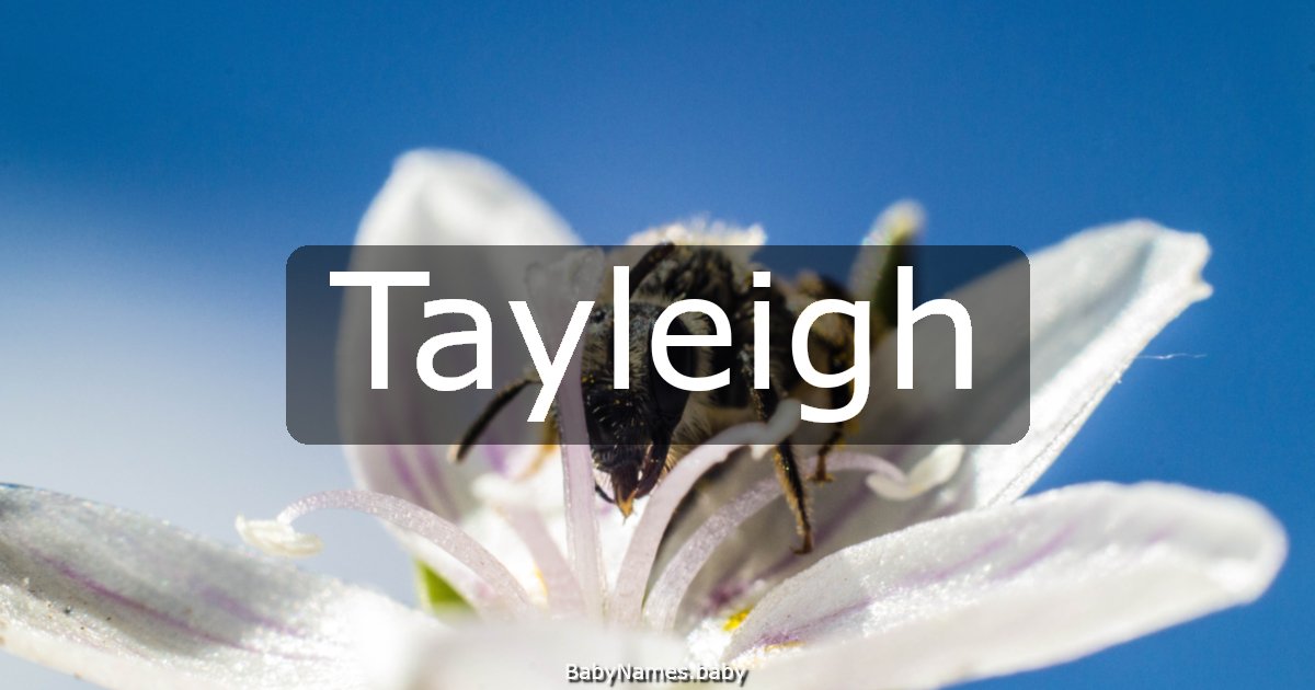 Tayleigh