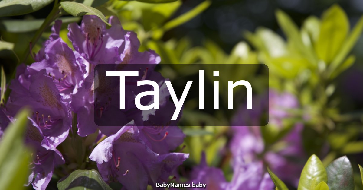 Taylin