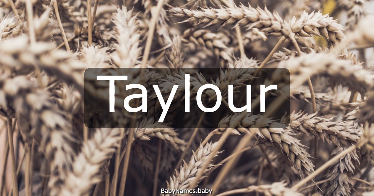 Taylour