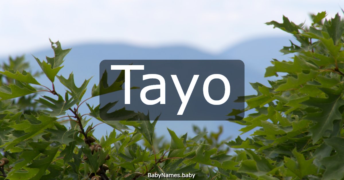 Tayo