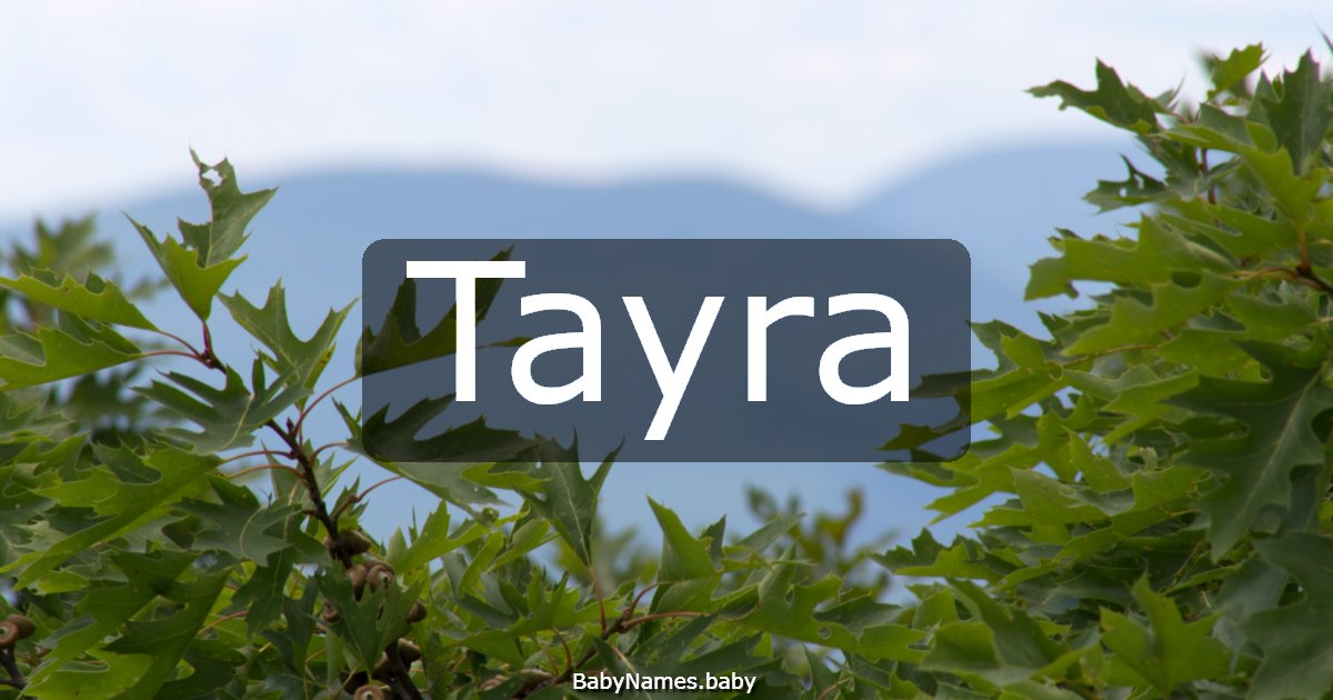 Tayra
