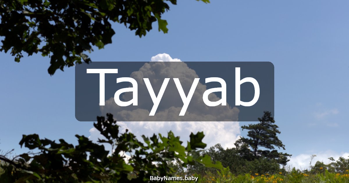 Tayyab
