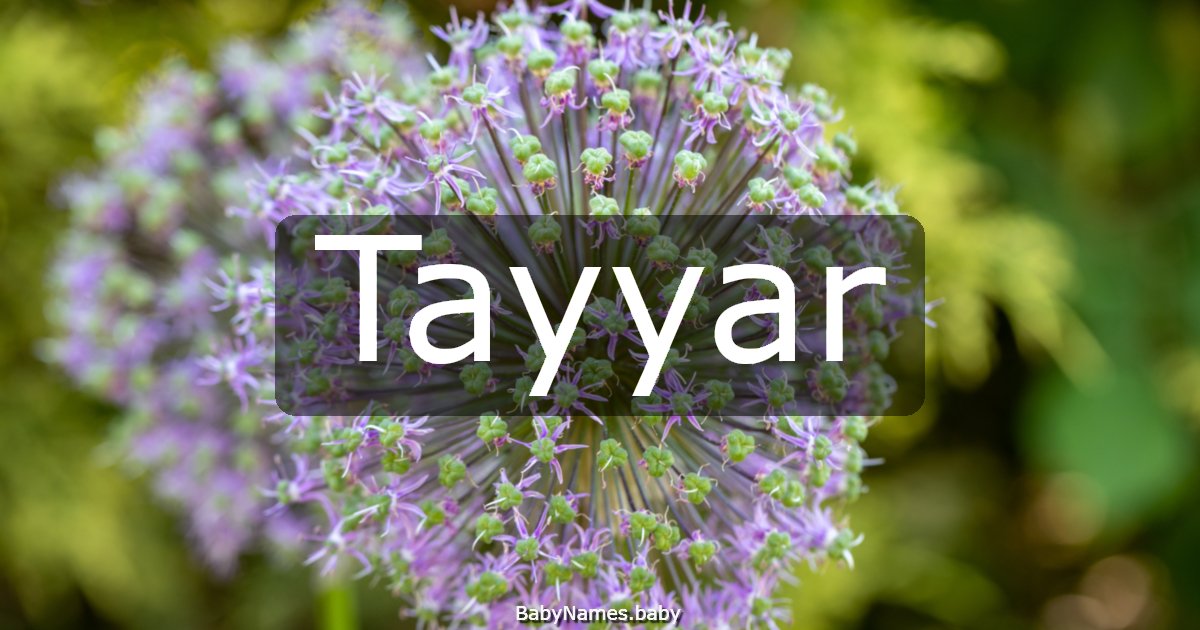 Tayyar