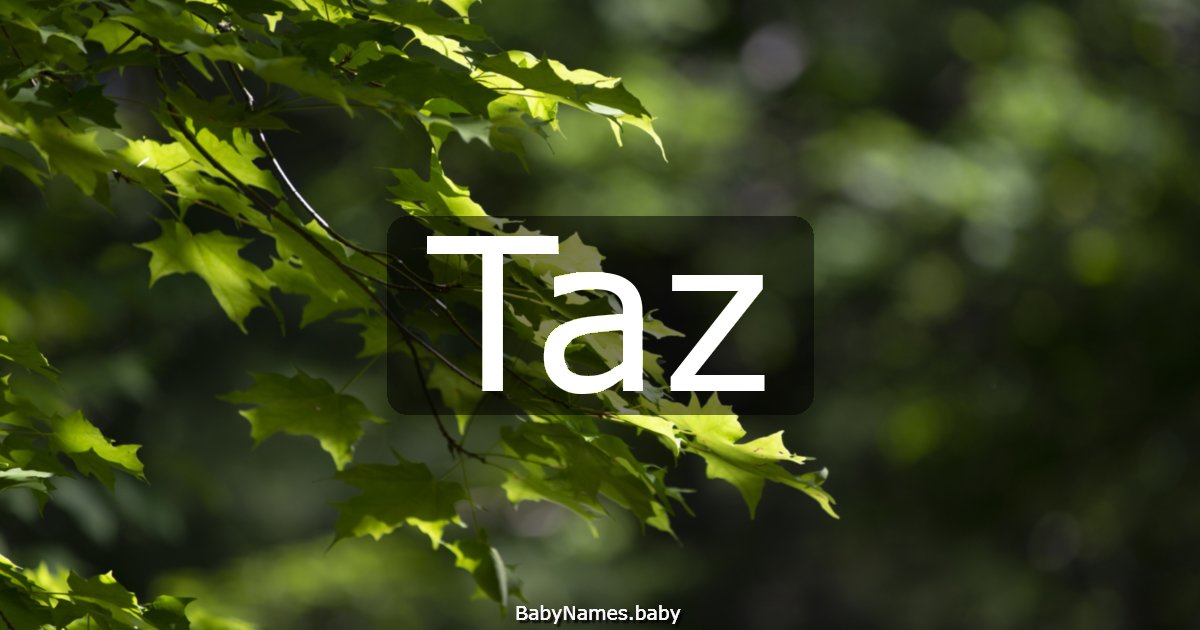 Taz