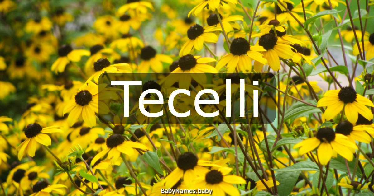 Tecelli