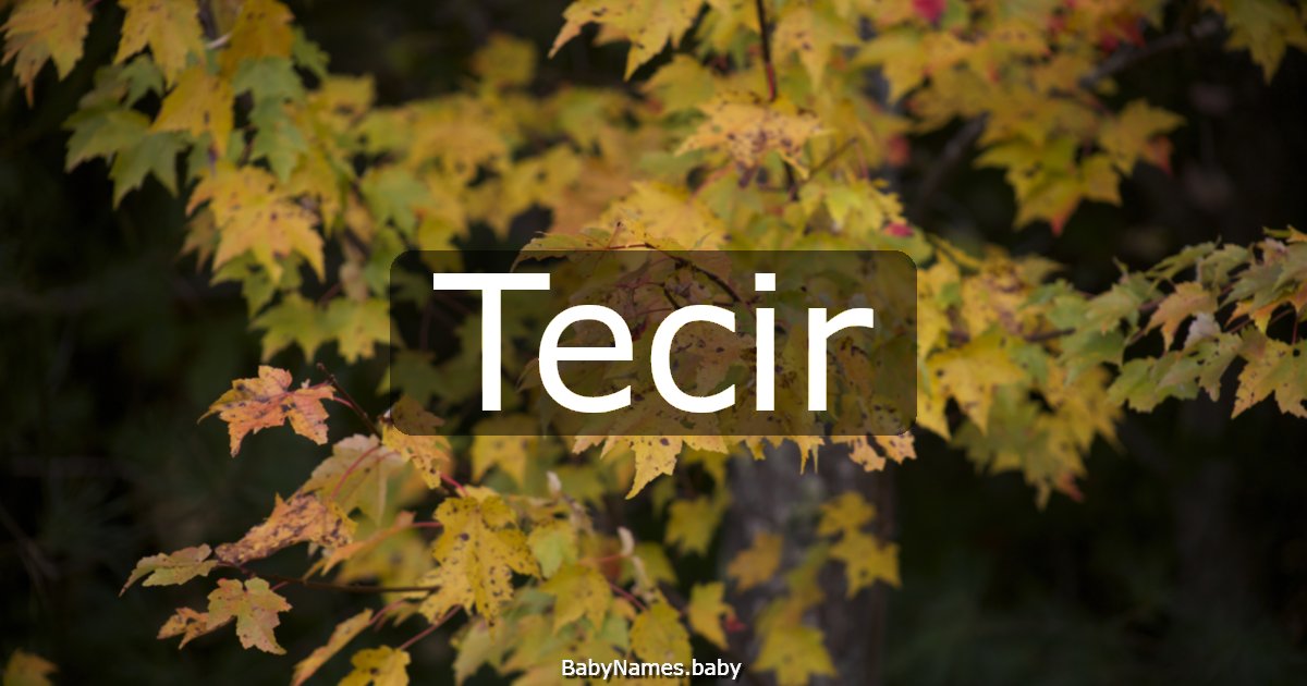 Tecir