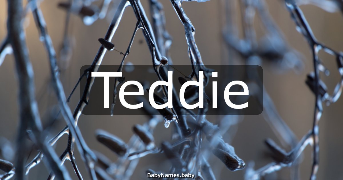 Teddie