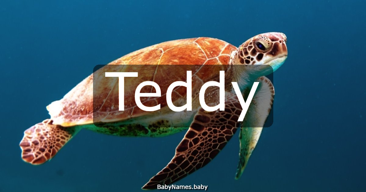 Teddy