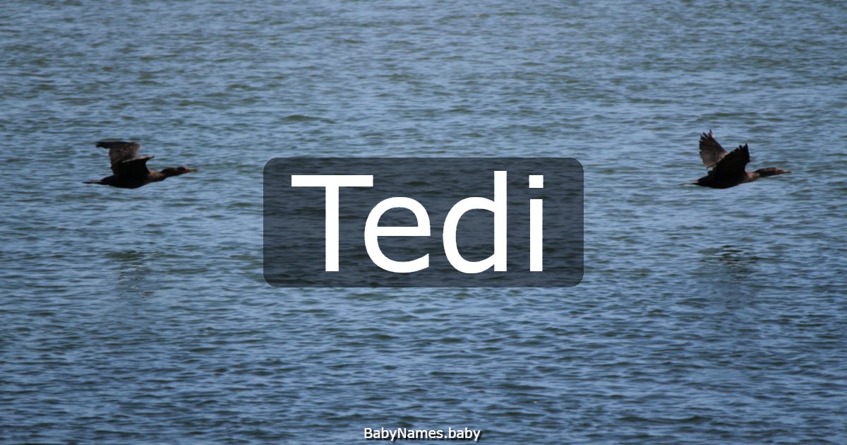 Tedi