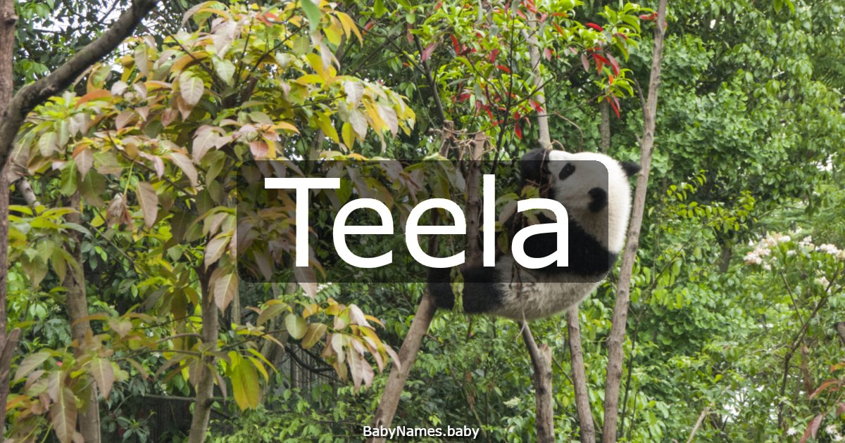 Teela