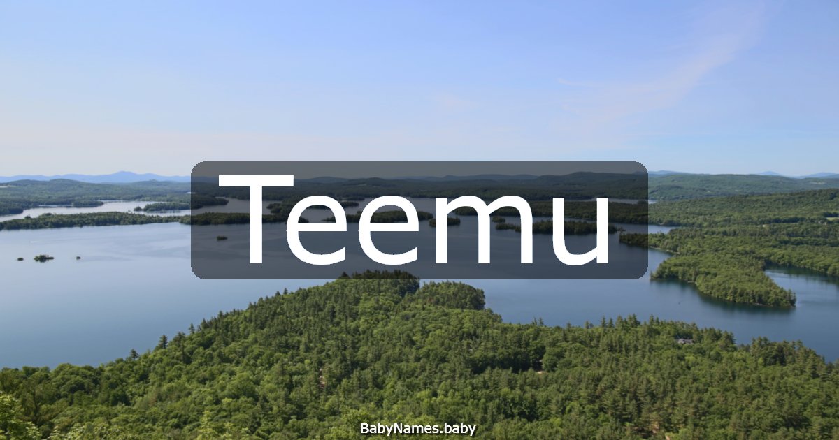 Teemu