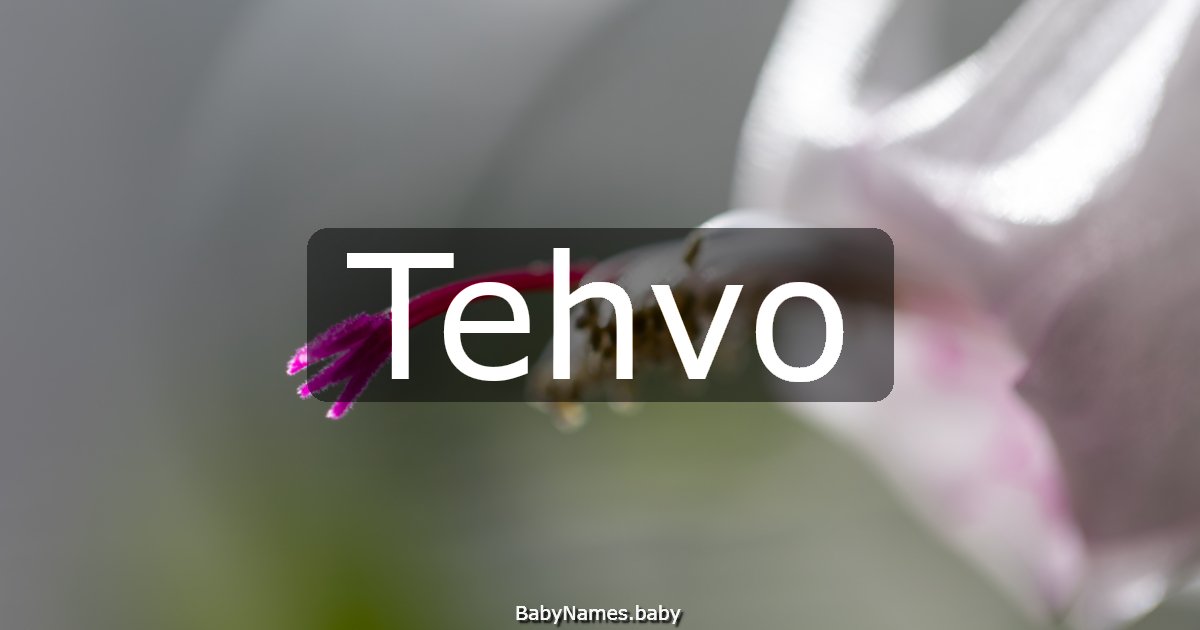 Tehvo
