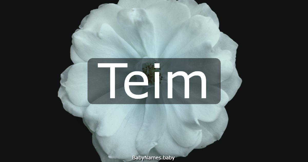 Teim