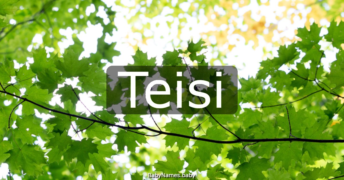 Teisi