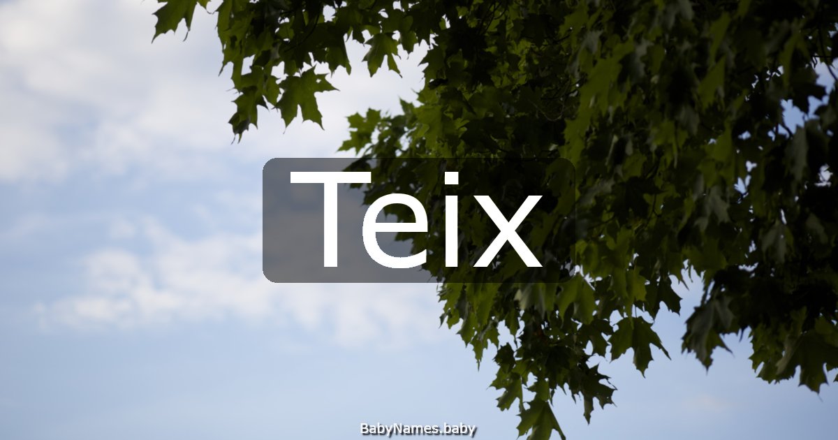 Teix