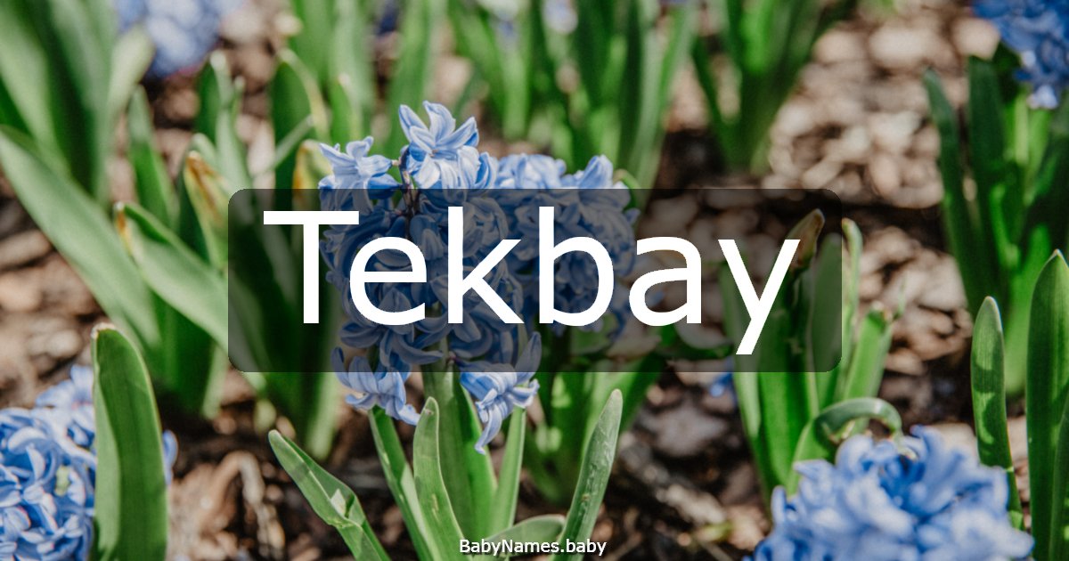 Tekbay