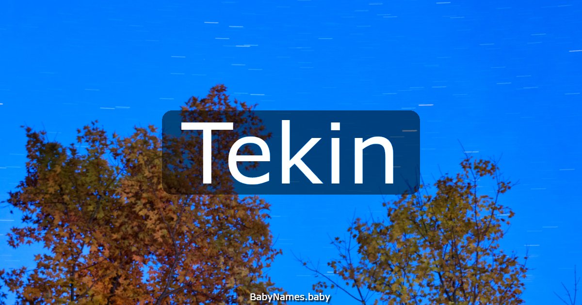 Tekin
